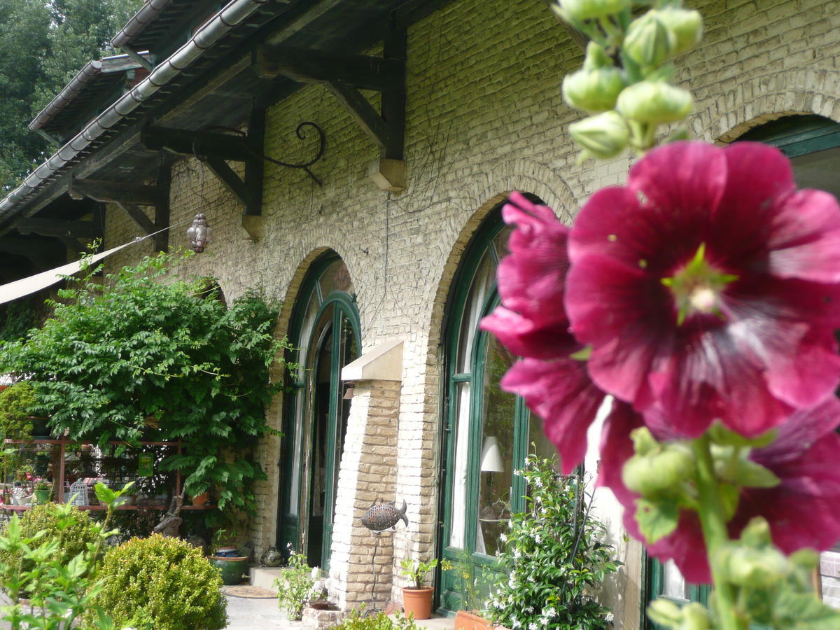 Manoir De Bois En Ardres Bed & Breakfast Exterior photo